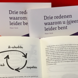 Drie redenen waarom u (g)een leider bent (e-book)