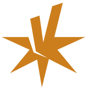 Alle kansen benut Jeugdzorgprofessional online talent-assessment